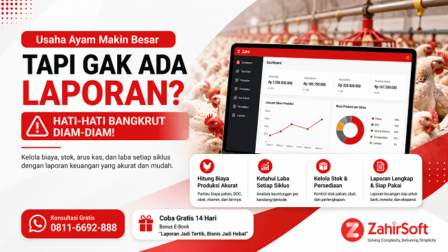 Usaha Ayam Makin Besar Tanpa Laporan Keuangan? Hati-Hati Bangkrut