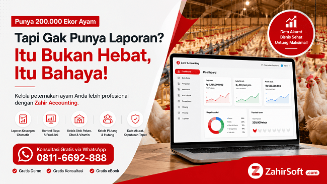 Usaha Ayam Tanpa Laporan Keuangan Bisa Bikin Boncos